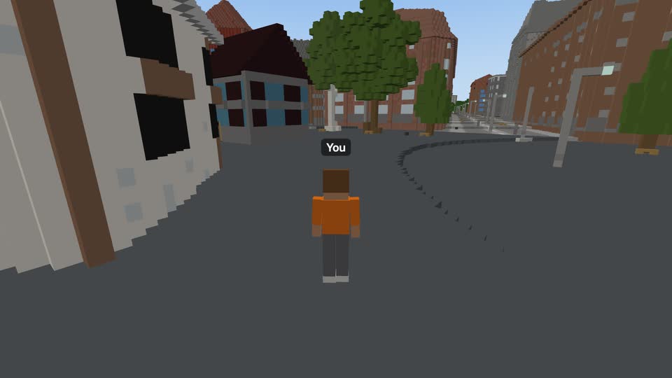 The player's blocky body, seen from behind, on a square